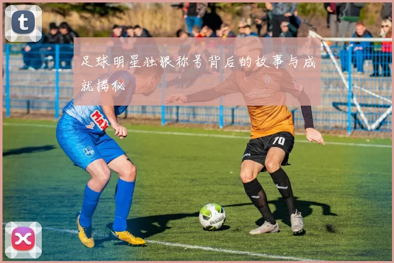 足球明星独狠称号背后的故事与成就揭秘