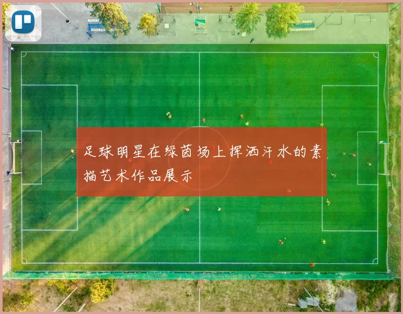 足球明星在绿茵场上挥洒汗水的素描艺术作品展示