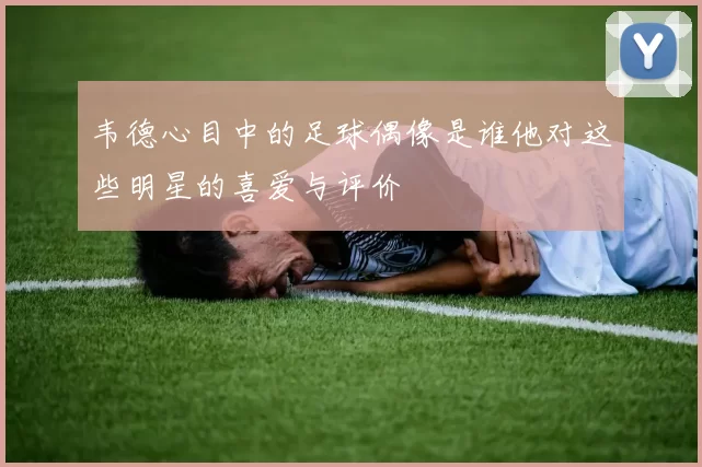 韦德心目中的足球偶像是谁他对这些明星的喜爱与评价