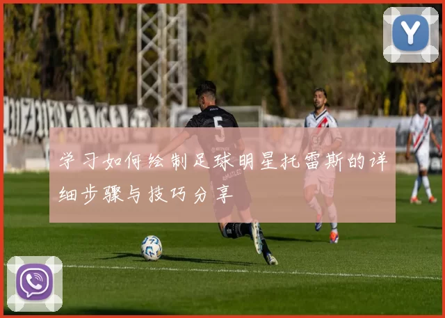 学习如何绘制足球明星托雷斯的详细步骤与技巧分享