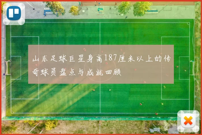 山东足球巨星身高187厘米以上的传奇球员盘点与成就回顾
