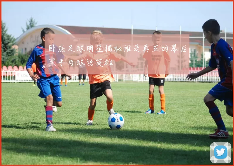 卧底足球明星揭秘谁是真正的幕后黑手与球场英雄