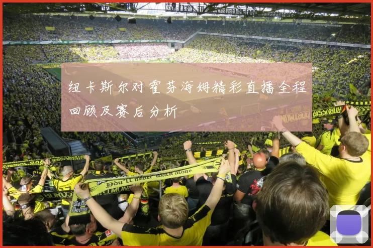 纽卡斯尔对霍芬海姆精彩直播全程回顾及赛后分析